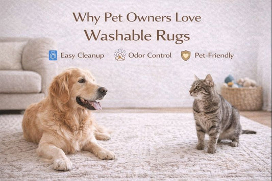 Why Pet Owners Love Washable Rugs