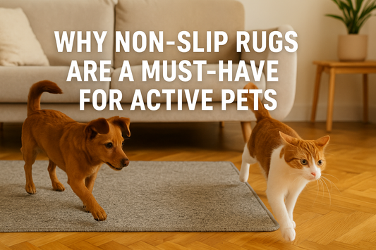 Why Non-Slip Rugs Are a Must-Have for Active Pets