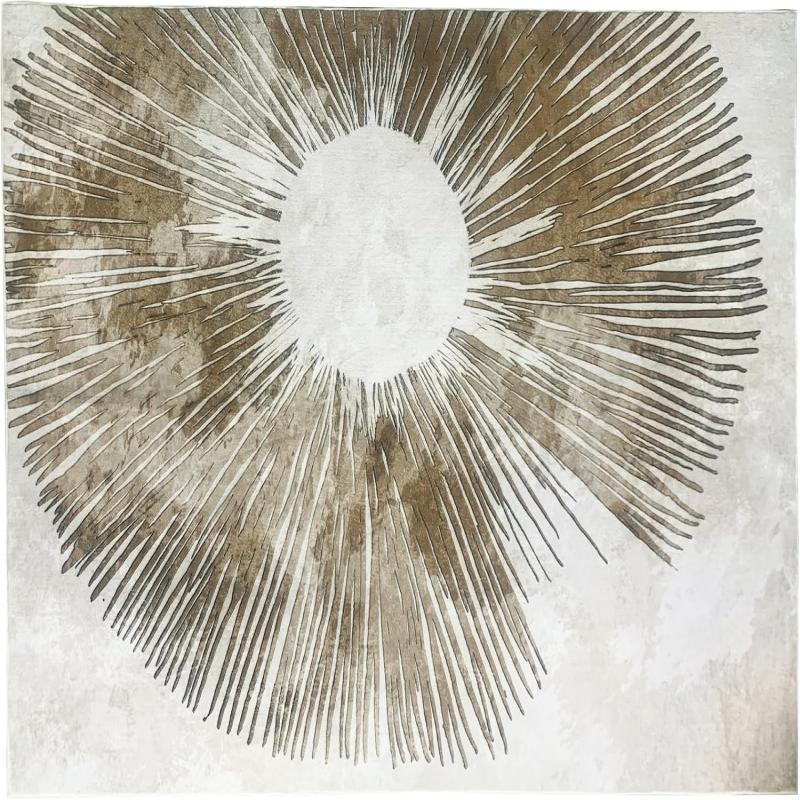 modern living room rug